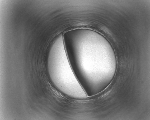 X0000066000825200603031025