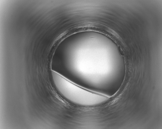 X0000066000826200603031025