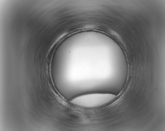 X0000066000827200603031026