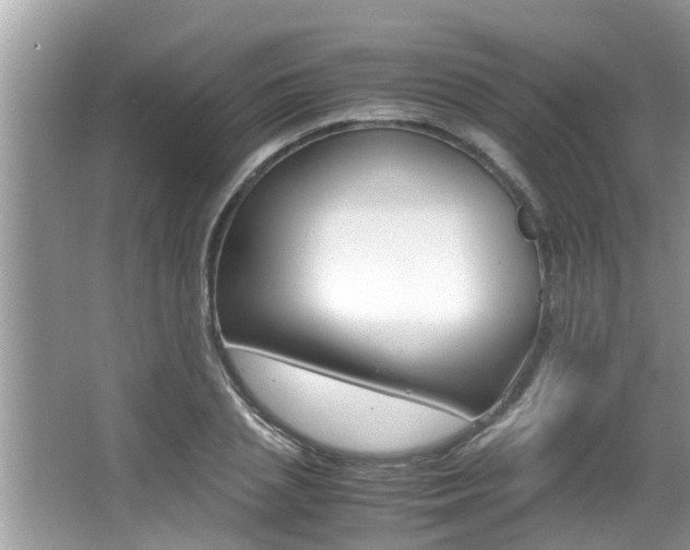 X0000066000837200603031026