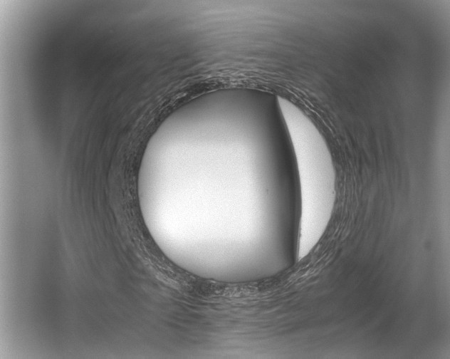 X0000066000865200603031025