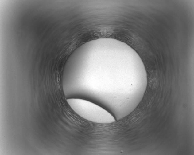 X0000066000866200603031025