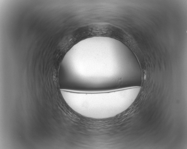 X0000066000867200603031025