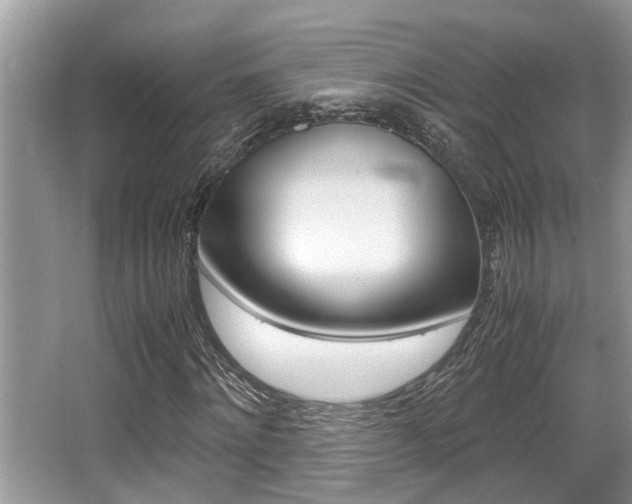 X0000066000868200603031025