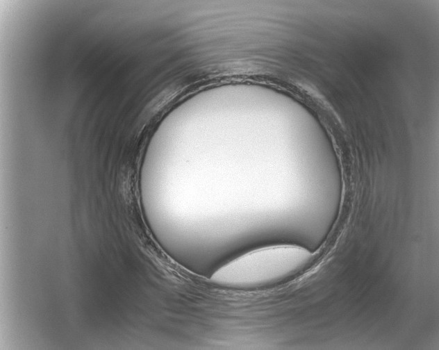 X0000066000873200603031025