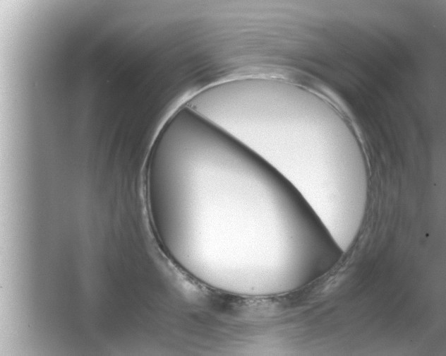 X0000066000907200603031025
