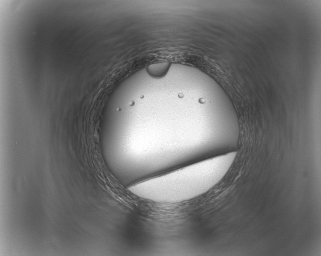 X0000066000913200603031024