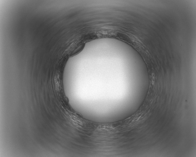 X0000066000915200603031024