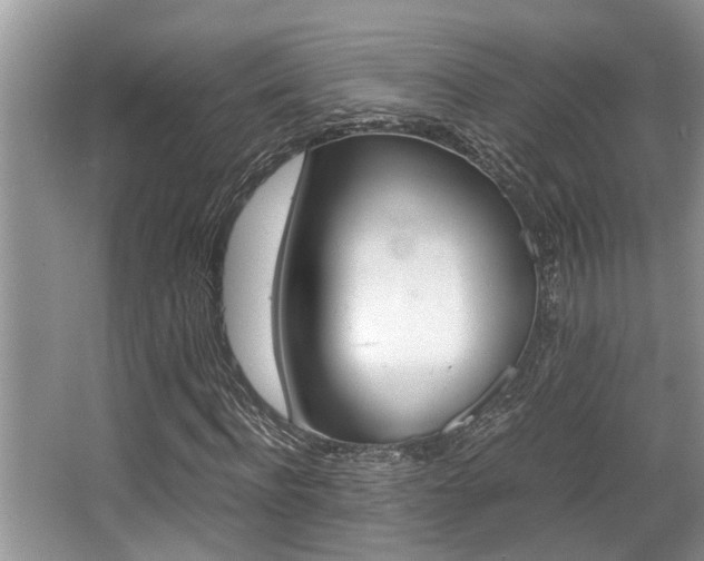 X0000066000916200603031024
