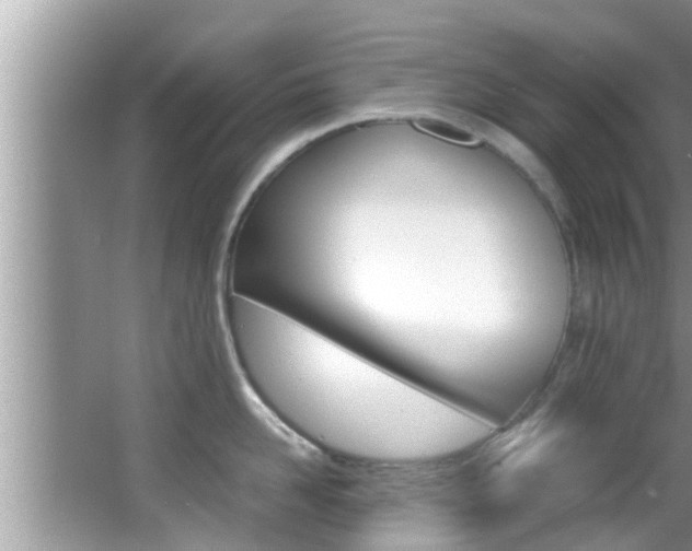 X0000066000958200603031024