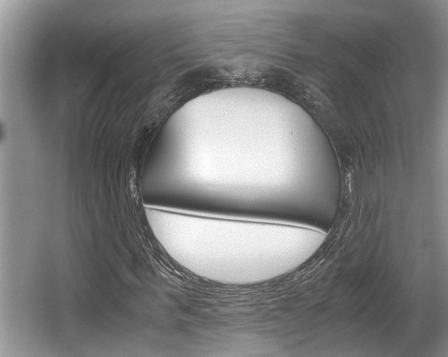 X0000066000963200603031024