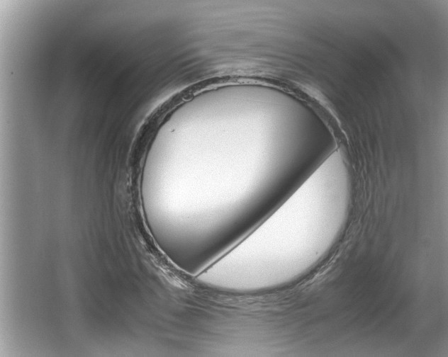 X0000066000971200603031024