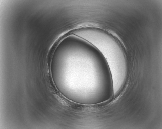 X0000066000973200603031024