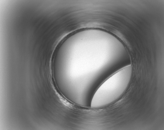X0000066000988200603031023