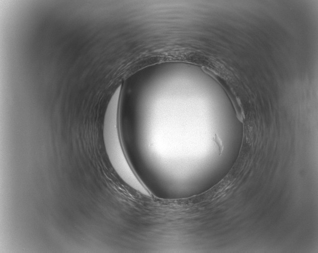 X0000066001010200603031022