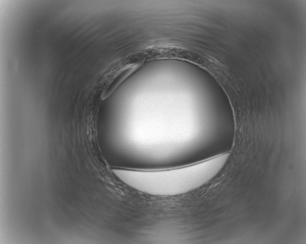 X0000066001014200603031022