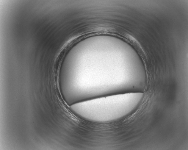 X0000066001019200603031022
