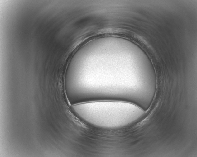 X0000066001025200603031022