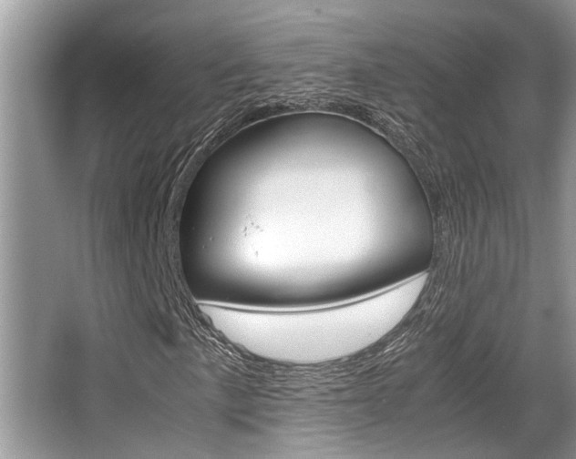 X0000066001057200603031022