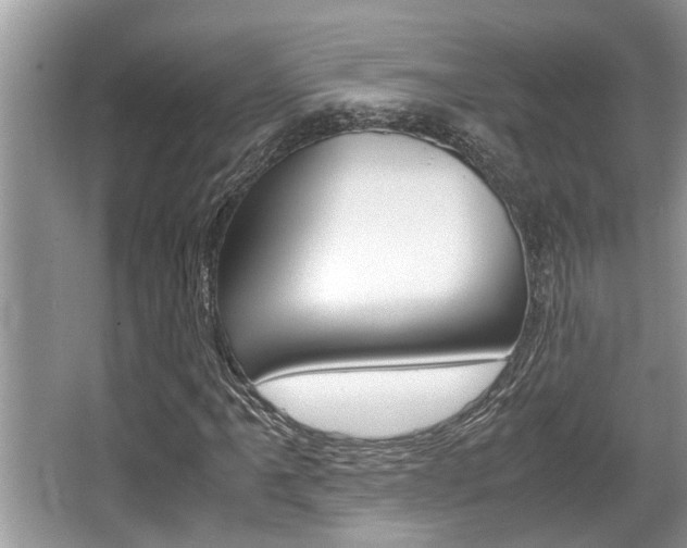 X0000066001061200603031022