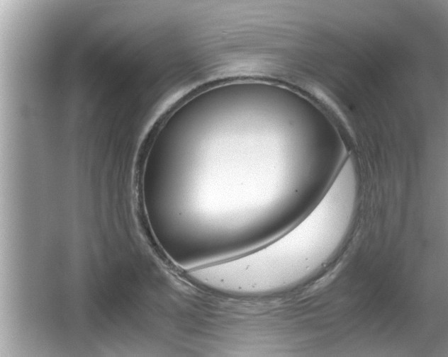 X0000066001077200603031022