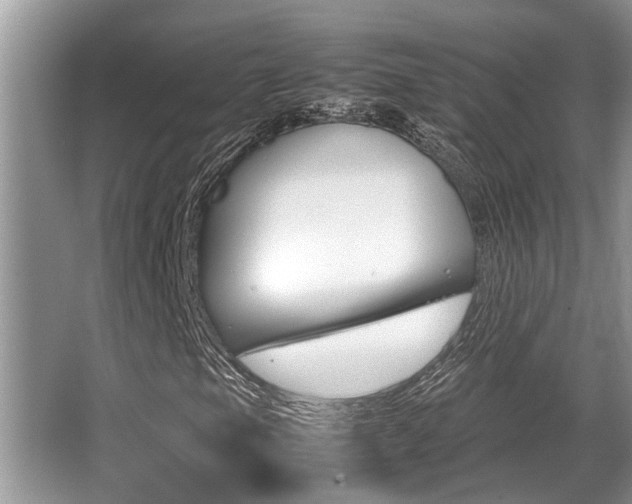 X0000066001105200603031020