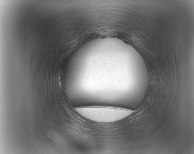X0000066001106200603031020