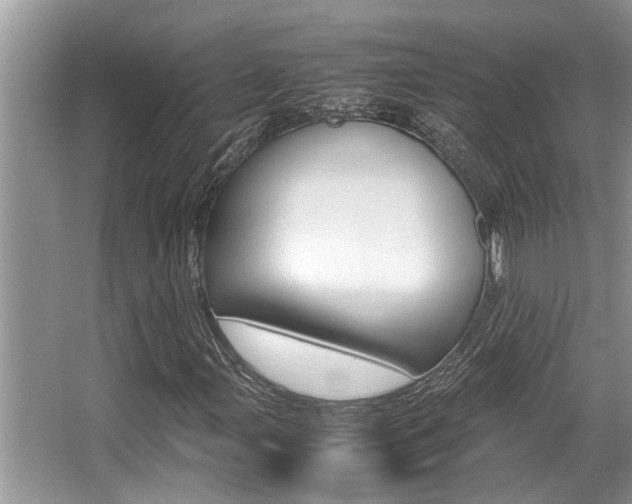 X0000066001107200603031021