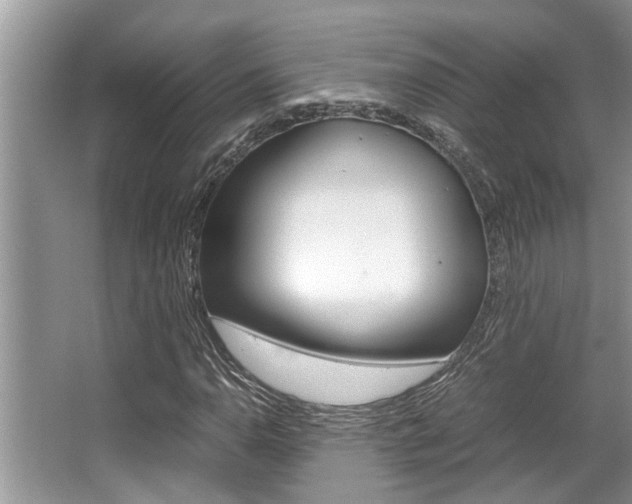 X0000066001110200603031021
