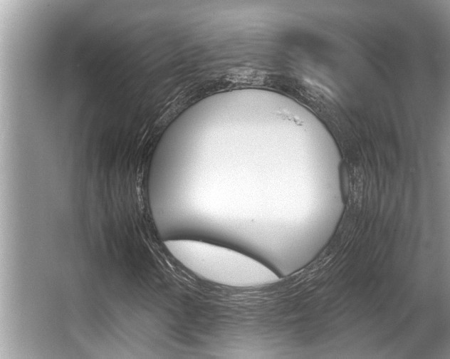 X0000066001154200603031020