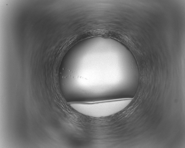 X0000066001201200603031019
