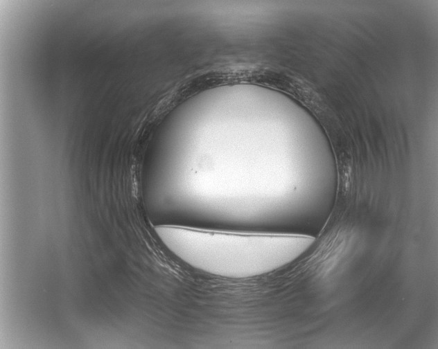 X0000066001204200603031019