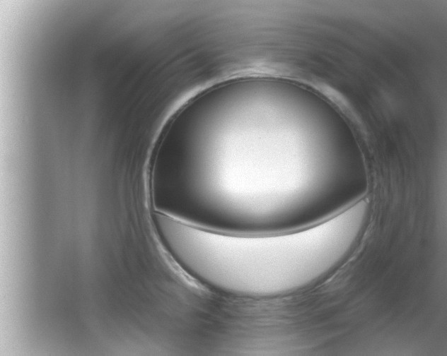 X0000066001238200603031019