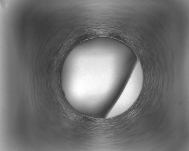 X0000066001249200603031019