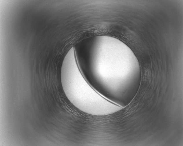 X0000066001250200603031019