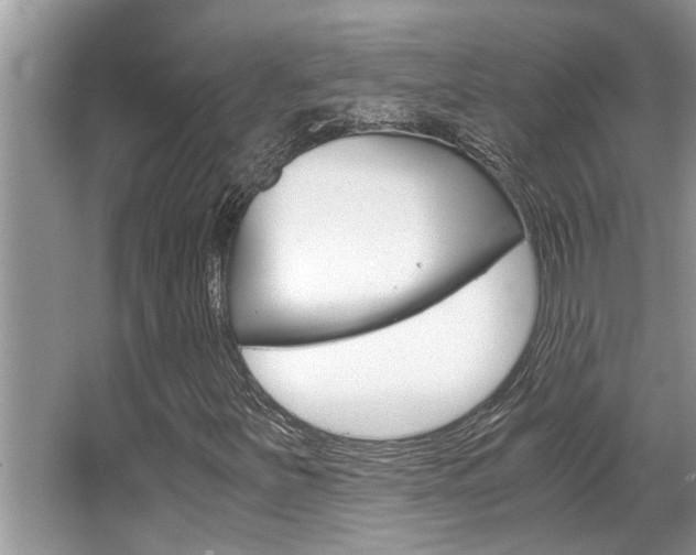 X0000066001251200603031019
