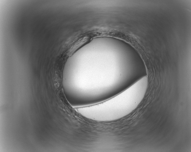 X0000066001253200603031019