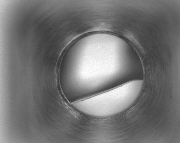 X0000066001268200603031019