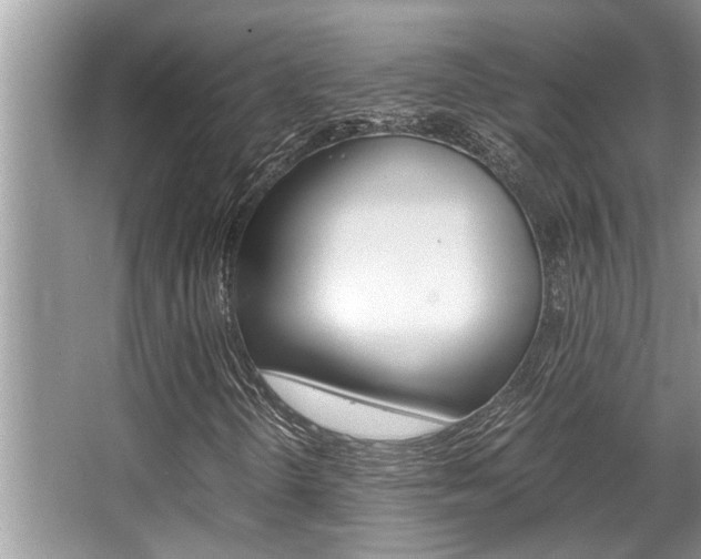 X0000066001298200603031017