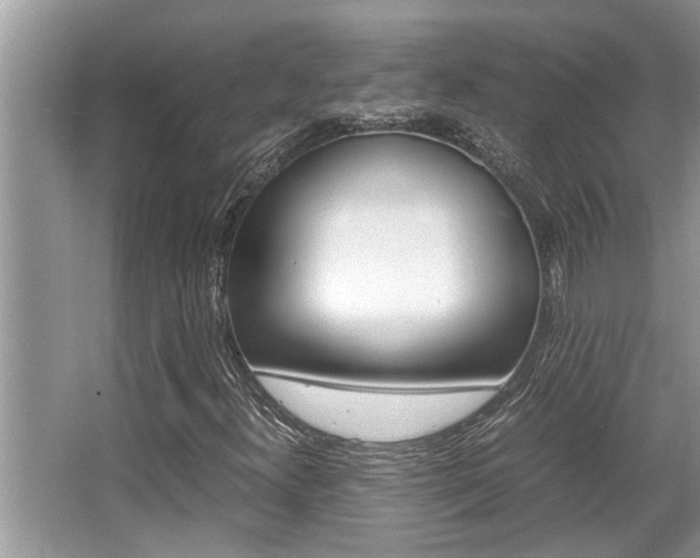 X0000066001300200603031017