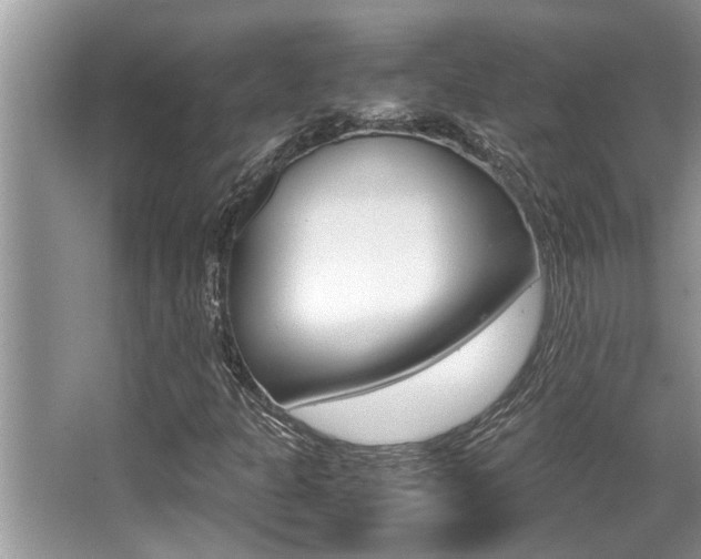 X0000066001301200603031017