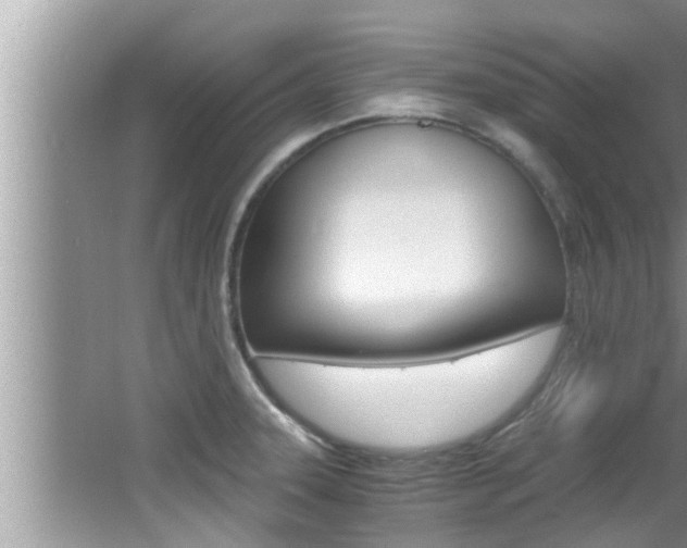 X0000066001331200603031018