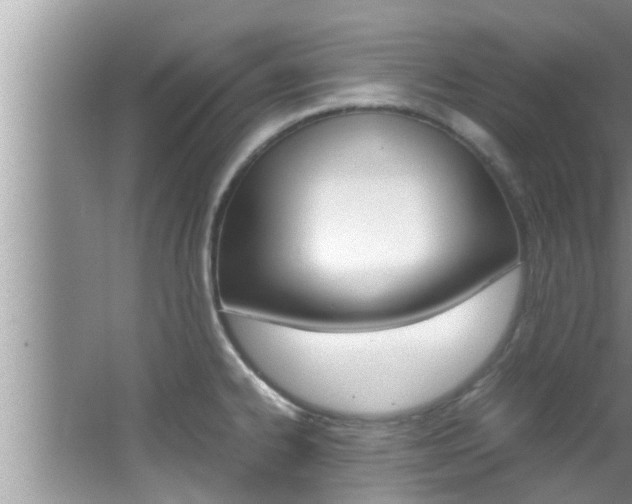 X0000066001334200603031018
