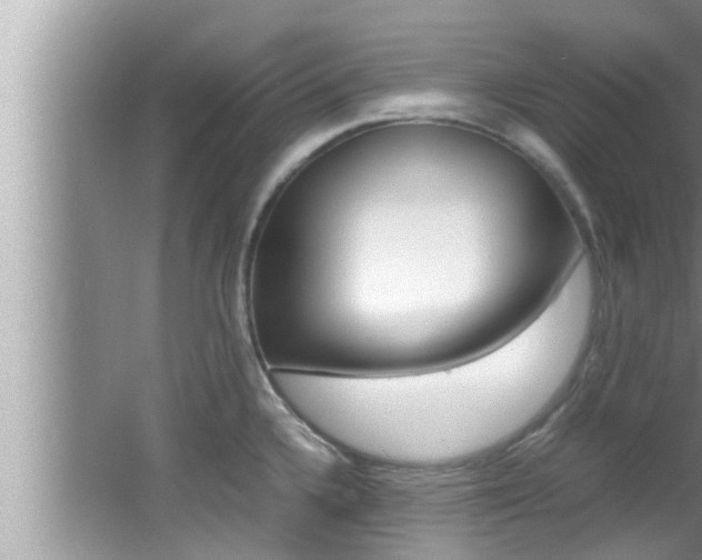 X0000066001336200603031018