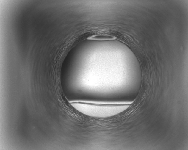 X0000066001345200603031017