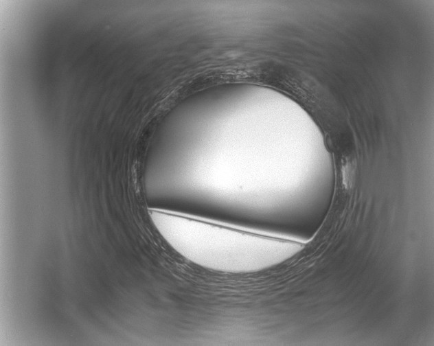 X0000066001347200603031017