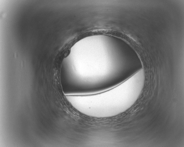 X0000066001351200603031017