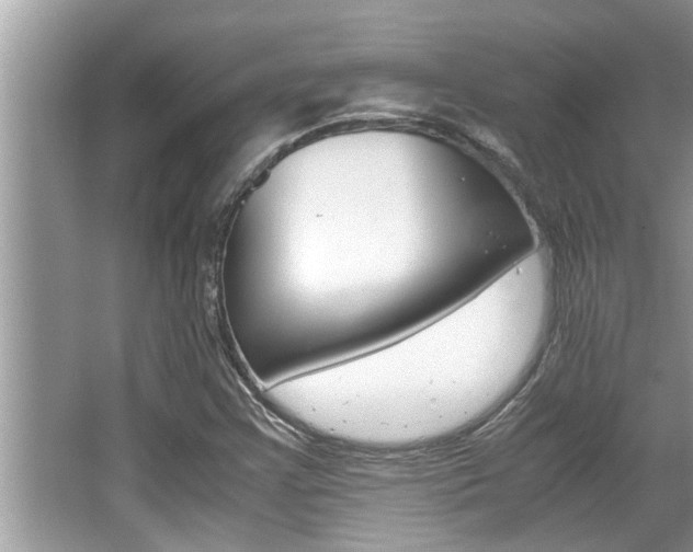 X0000066001355200603031017