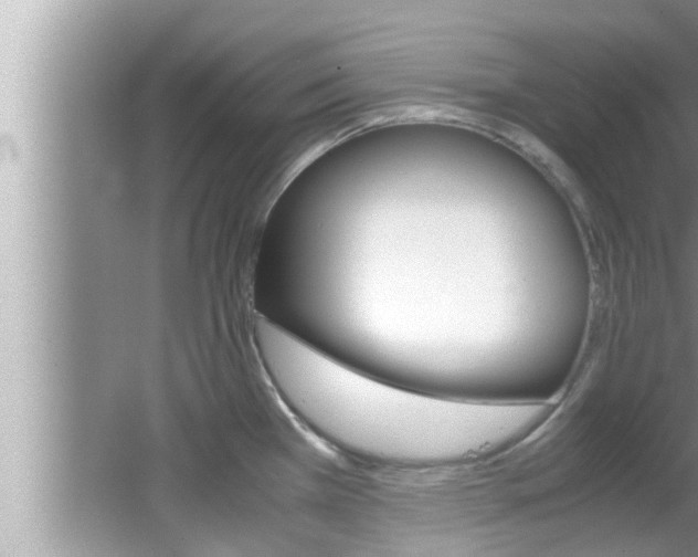 X0000066001385200603031017