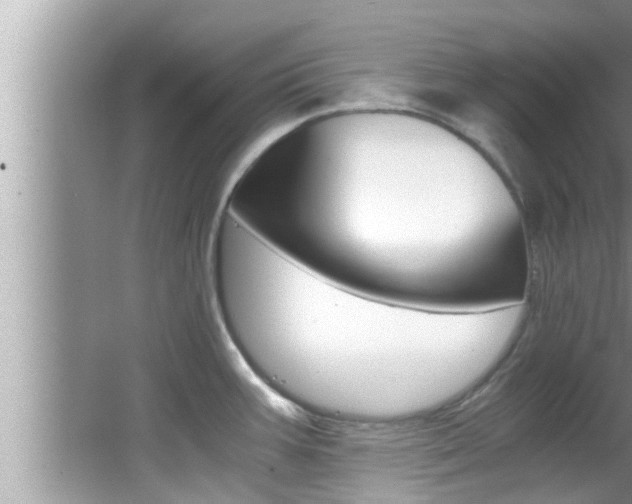 X0000066001387200603031017